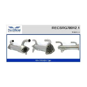 RECSRG78012.1 RECOFICIAL