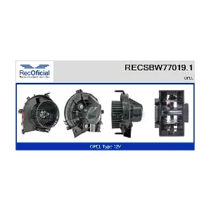 RECSBW77019.1 RECOFICIAL