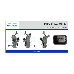 RECSRG74013.1 RECOFICIAL