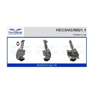 RECSVG76021.1 RECOFICIAL