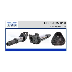 RECOFICIAL RECSIC75001.0