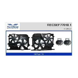 RECSEF77018.1 RECOFICIAL