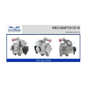 RECSSP73137.0 RECOFICIAL