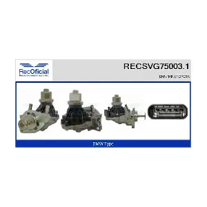 RECOFICIAL RECSVG75003.1