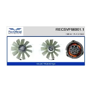 RECSVF66001.1 RECOFICIAL