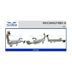 RECSRG77001.0 RECOFICIAL