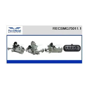 RECSMG75011.1 RECOFICIAL