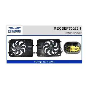RECSEF70023.1 RECOFICIAL