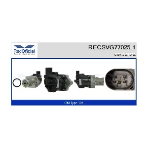 RECSVG77025.1 RECOFICIAL