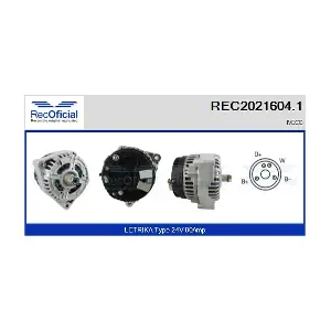 8036231 CASCO