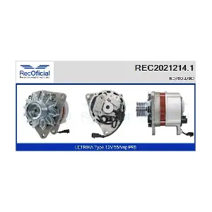 12784 CASCO