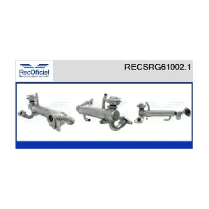 RECOFICIAL RECSRG61002.1