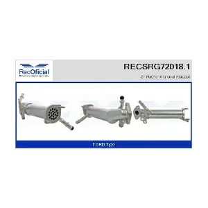 RECSRG72018.1 RECOFICIAL