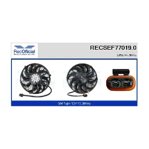 RECSEF77019.0 RECOFICIAL