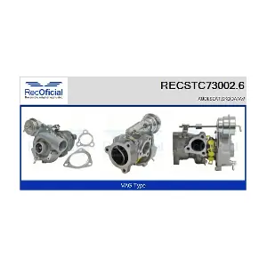65050 CASCO