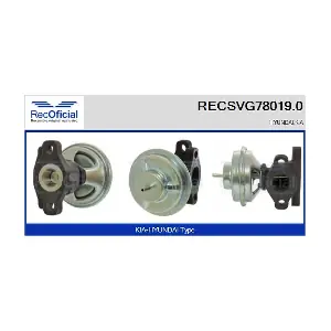 RECSVG78019.0 RECOFICIAL