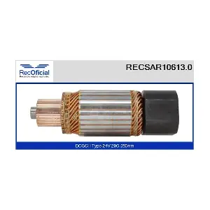 RECOFICIAL RECSAR10613.0