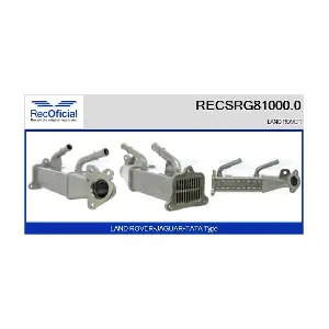 RECSRG81000.0 RECOFICIAL