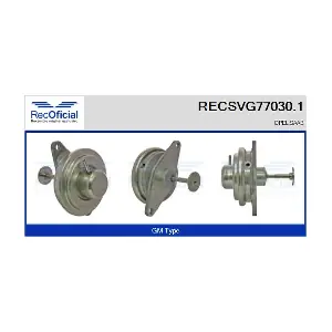 RECOFICIAL RECSVG77030.1