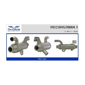 RECSRG70004.1 RECOFICIAL
