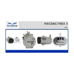 RECOFICIAL RECSAC77031.1
