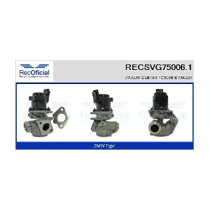 RECSVG75006.1 RECOFICIAL