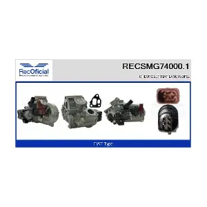 RECOFICIAL RECSMG74000.1