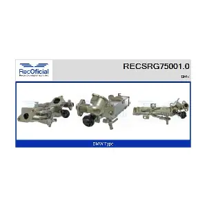 RECSRG75001.0 RECOFICIAL