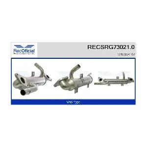 RECSRG73021.0 RECOFICIAL