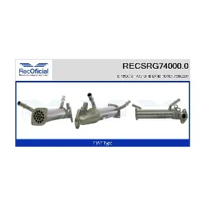 RECSRG74000.0 RECOFICIAL