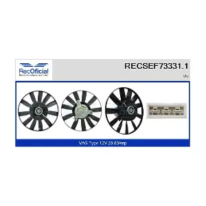 RECSEF73331.1 RECOFICIAL