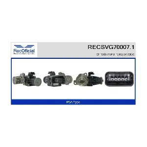 RECOFICIAL RECSVG70007.1
