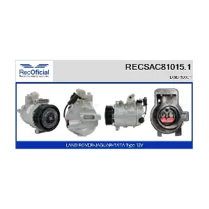 RECOFICIAL RECSAC81015.1