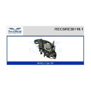 RECOFICIAL RECSRE30119.1
