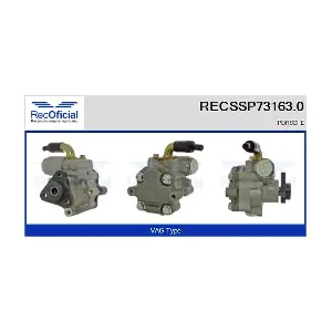 RECSSP73163.0 RECOFICIAL