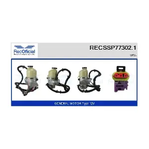 RECSSP77302.1 RECOFICIAL
