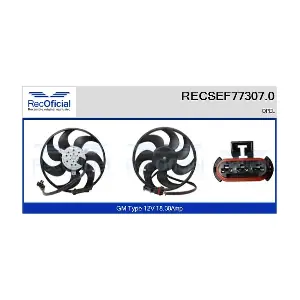 RECSEF77307.0 RECOFICIAL