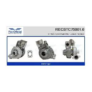 RECOFICIAL RECSTC75001.6
