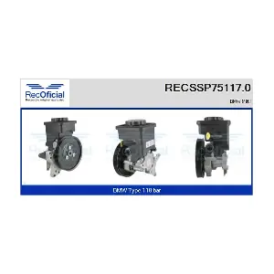 RECSSP75117.0 RECOFICIAL
