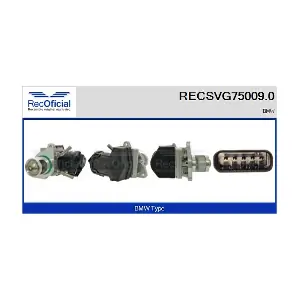 RECSVG75009.0 RECOFICIAL