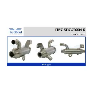 RECSRG70004.0 RECOFICIAL