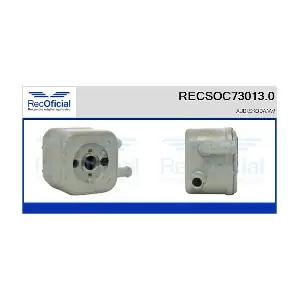 RECSOC73013.0 RECOFICIAL