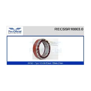 RECSSR10003.0 RECOFICIAL