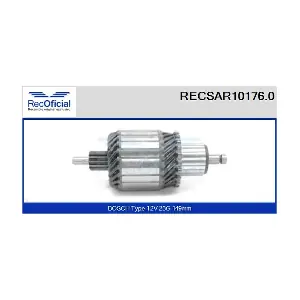 RECOFICIAL RECSAR10176.0