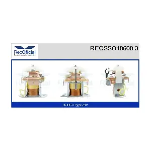 RECOFICIAL RECSSO10600.3