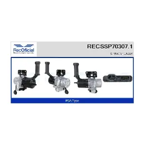 RECOFICIAL RECSSP703071