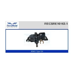 RECOFICIAL RECSRE10163.1