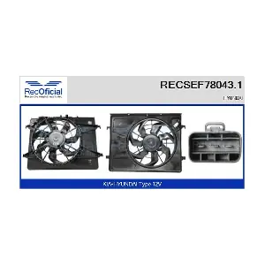 RECSEF78043.1 RECOFICIAL