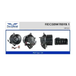 RECSBW70019.1 RECOFICIAL