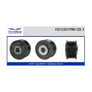 RECSCP96125.1 RECOFICIAL